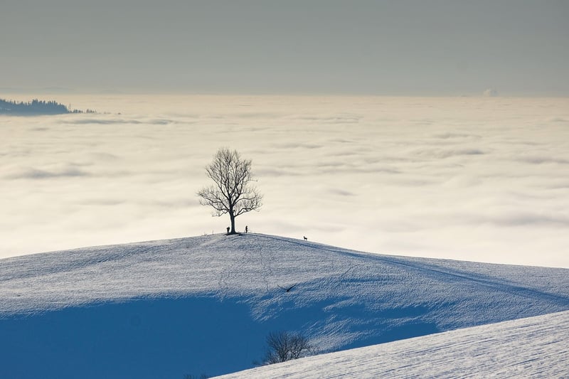 Adventure Landscape
